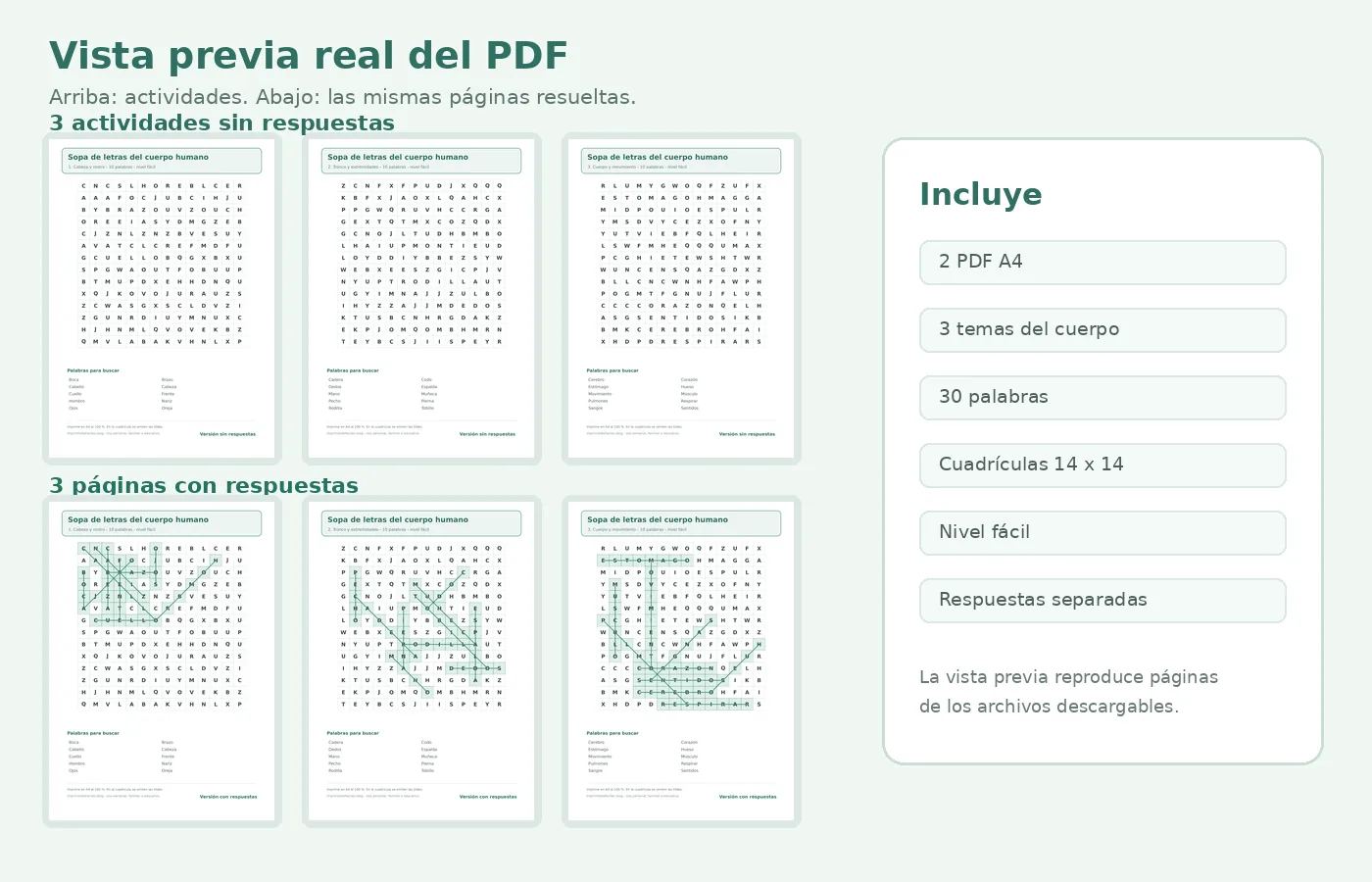 Vista previa real de las tres sopas de letras del cuerpo humano y sus tres páginas de respuestas